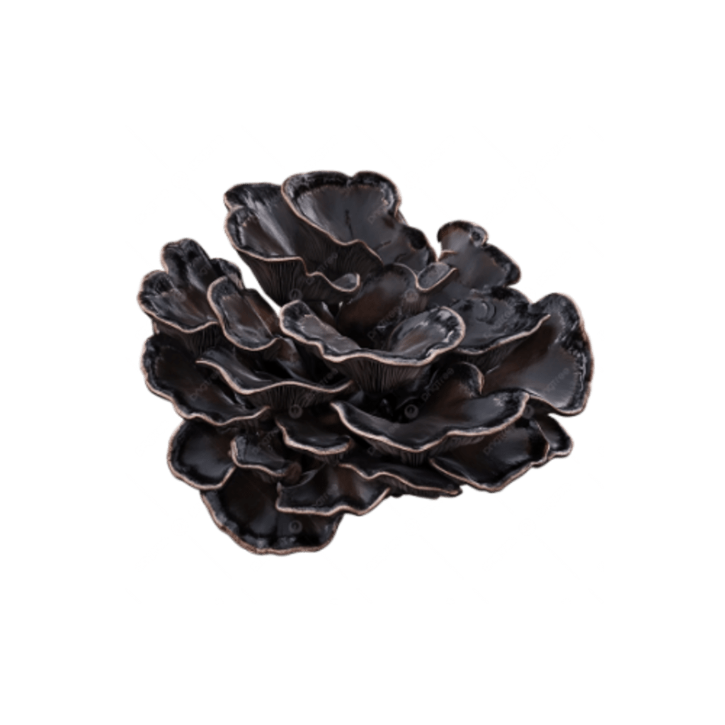 RED GUMMY MUSHROOM EXTRACT