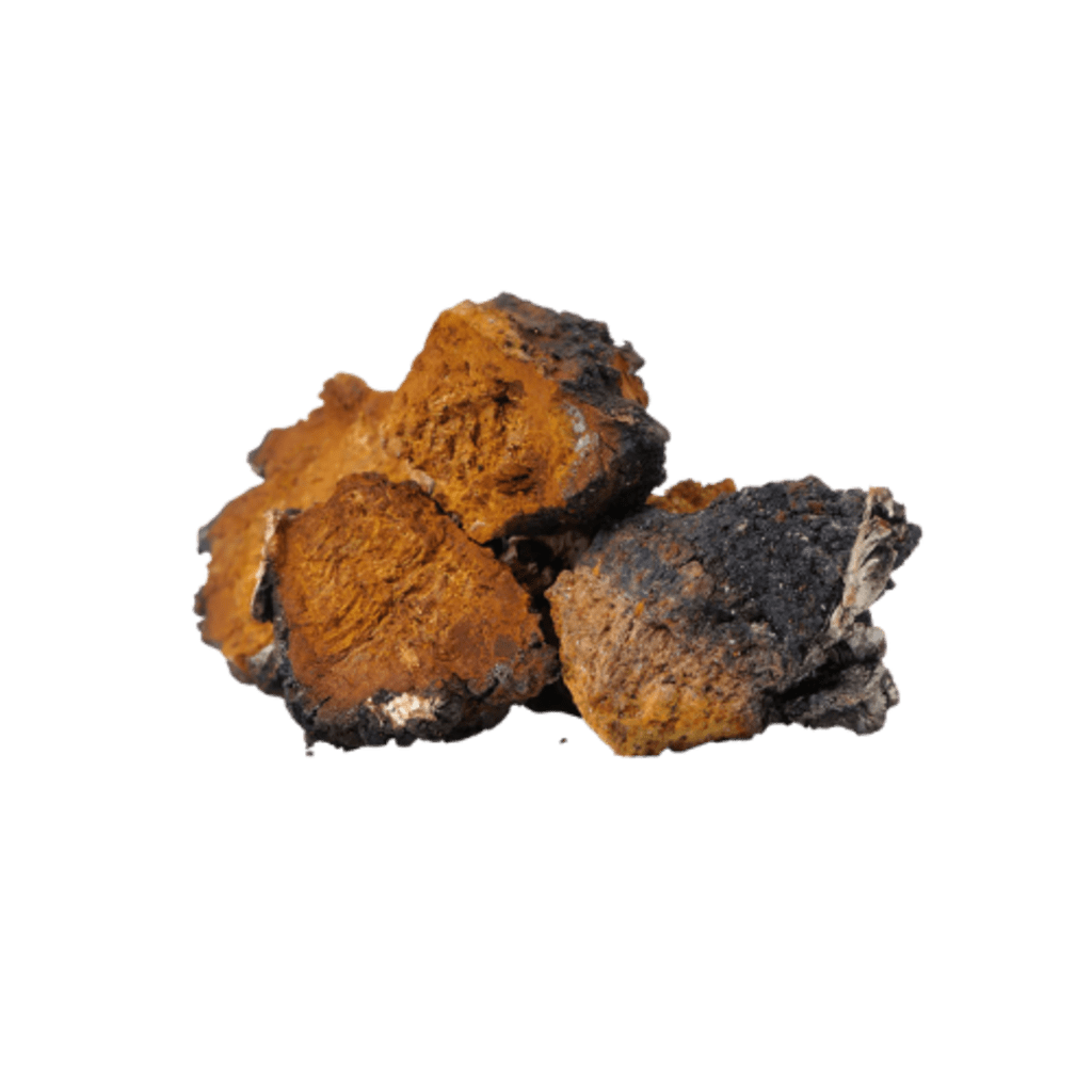 RED GUMMY MUSHROOM EXTRACT